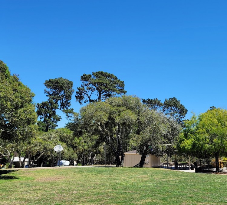 Oak Newton Park (Monterey,&nbspCA)